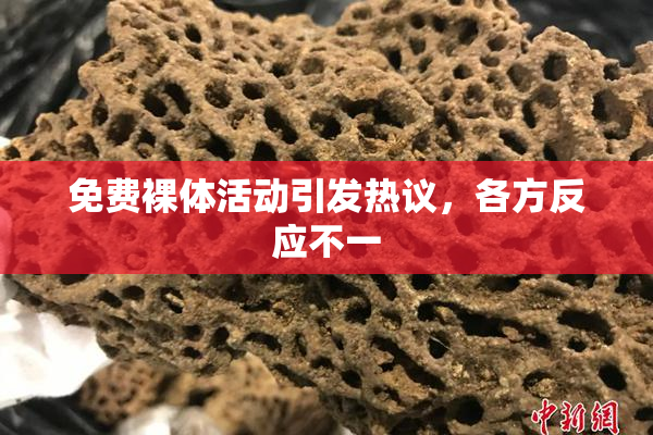 免费裸体活动引发热议，各方反应不一