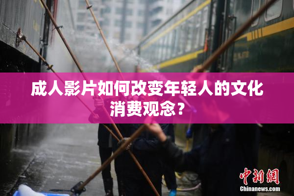 成人影片如何改变年轻人的文化消费观念？