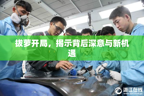 拔萝开局，揭示背后深意与新机遇