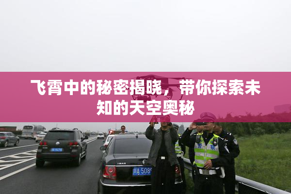 飞霄中的秘密揭晓，带你探索未知的天空奥秘