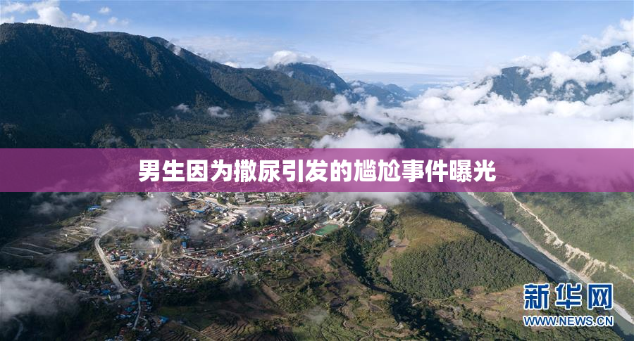 男生因为撒尿引发的尴尬事件曝光