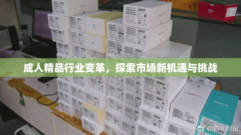 成人精品行业变革，探索市场新机遇与挑战