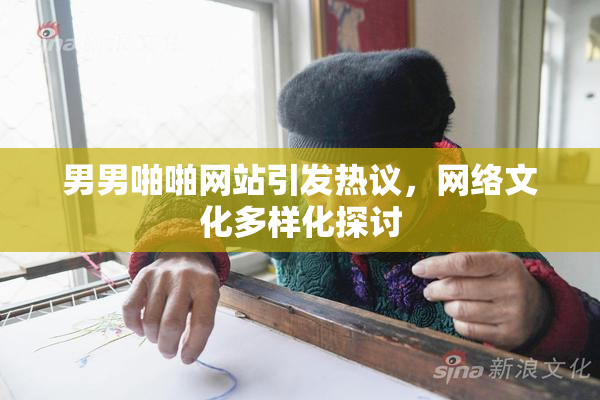 男男啪啪网站引发热议，网络文化多样化探讨