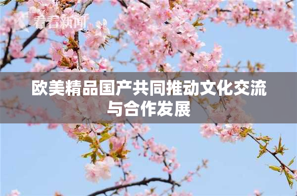 欧美精品国产共同推动文化交流与合作发展