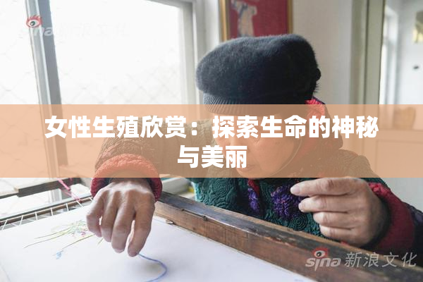 女性生殖欣赏：探索生命的神秘与美丽