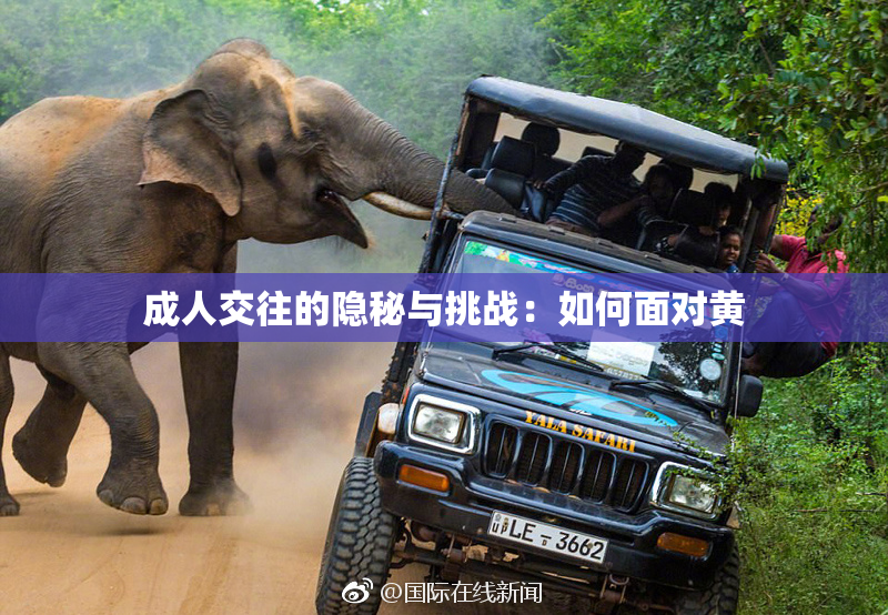 成人交往的隐秘与挑战：如何面对黄