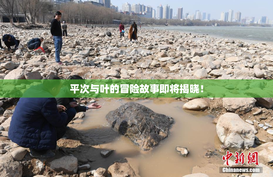 平次与叶的冒险故事即将揭晓！