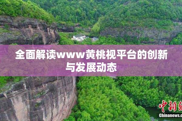 全面解读www黄桃视平台的创新与发展动态