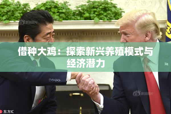 借种大鸡：探索新兴养殖模式与经济潜力