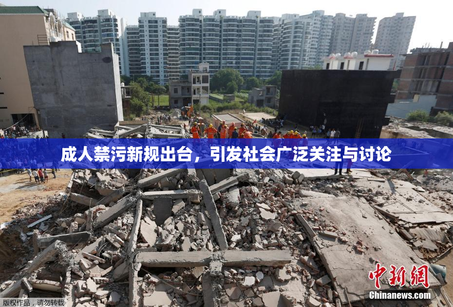 成人禁污新规出台，引发社会广泛关注与讨论