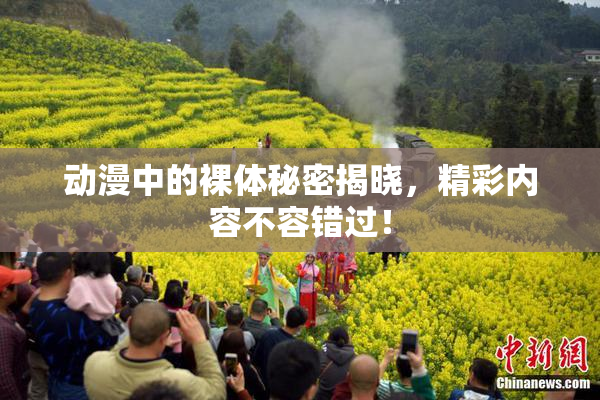 动漫中的裸体秘密揭晓，精彩内容不容错过！