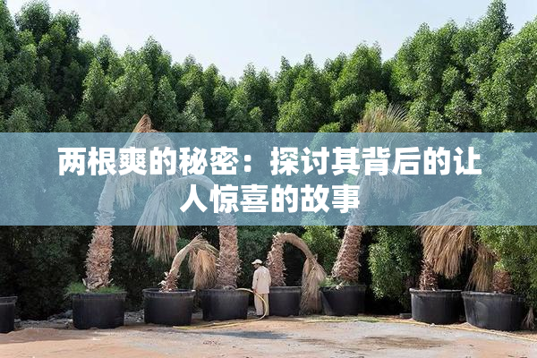 两根爽的秘密：探讨其背后的让人惊喜的故事
