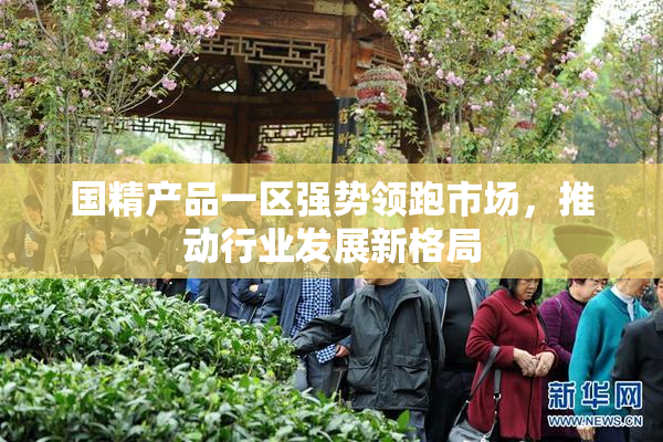 国精产品一区强势领跑市场，推动行业发展新格局
