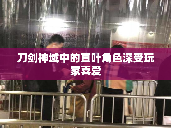 刀剑神域中的直叶角色深受玩家喜爱