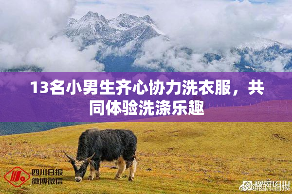 13名小男生齐心协力洗衣服，共同体验洗涤乐趣
