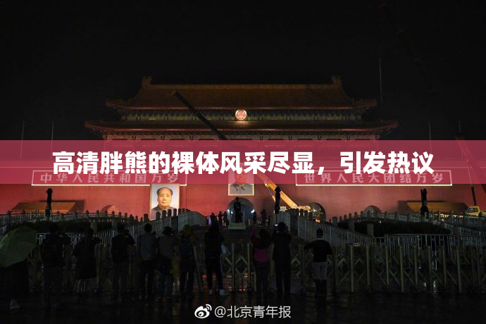 高清胖熊的裸体风采尽显，引发热议
