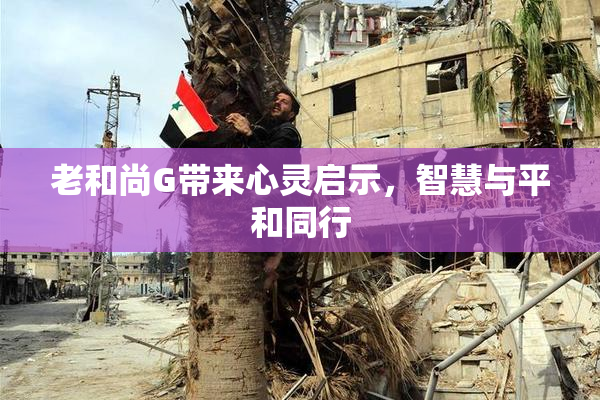 老和尚G带来心灵启示，智慧与平和同行
