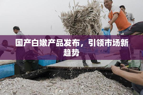 国产白嫩产品发布，引领市场新趋势
