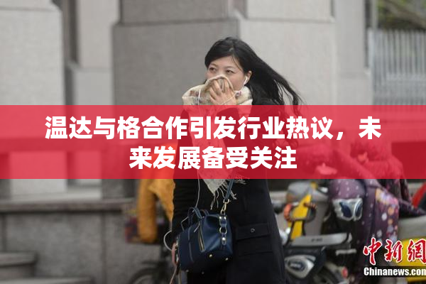 温达与格合作引发行业热议，未来发展备受关注