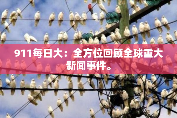 911每日大：全方位回顾全球重大新闻事件。