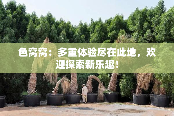 色窝窝：多重体验尽在此地，欢迎探索新乐趣！
