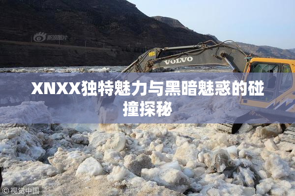 XNXX独特魅力与黑暗魅惑的碰撞探秘