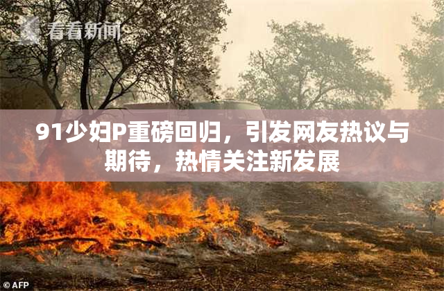 91少妇P重磅回归，引发网友热议与期待，热情关注新发展
