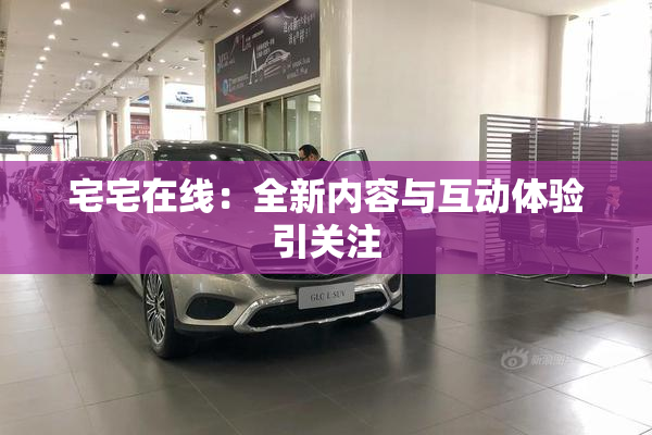 宅宅在线：全新内容与互动体验引关注