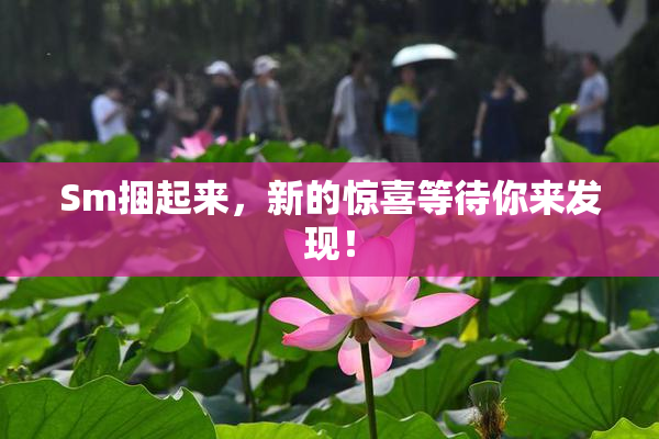 Sm捆起来，新的惊喜等待你来发现！