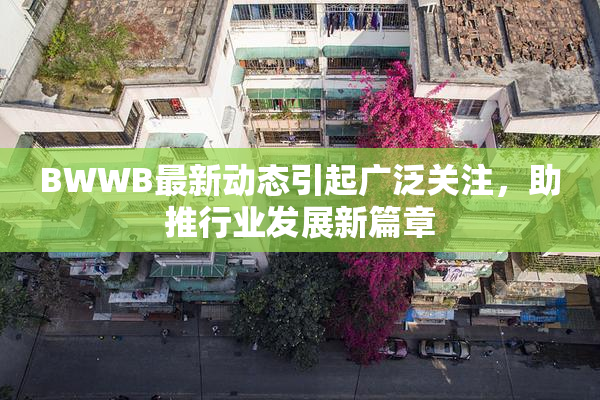 BWWB最新动态引起广泛关注，助推行业发展新篇章