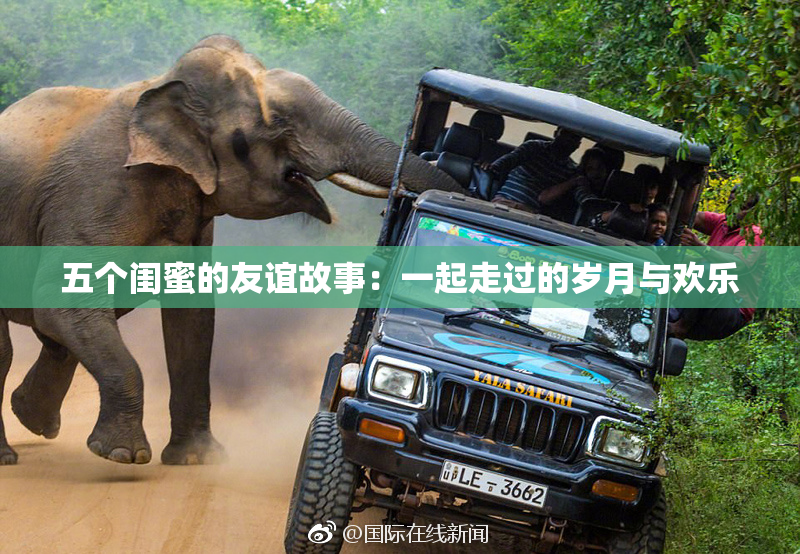 五个闺蜜的友谊故事：一起走过的岁月与欢乐