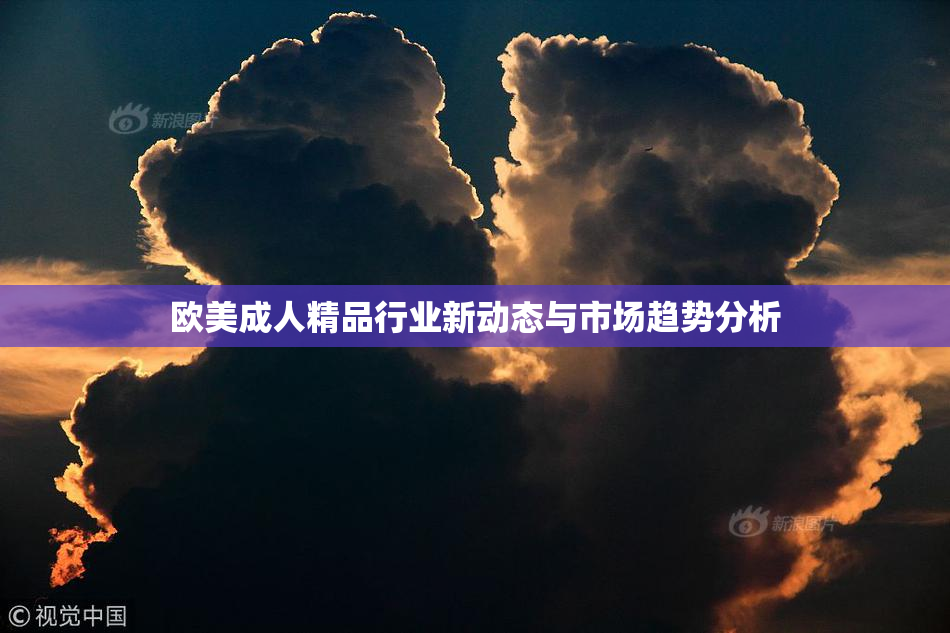 欧美成人精品行业新动态与市场趋势分析
