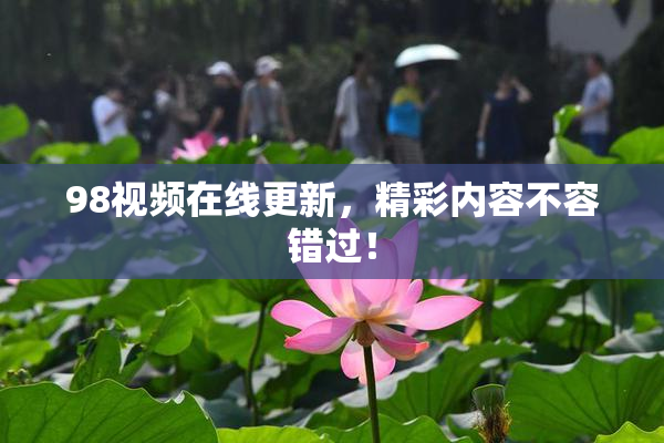 98视频在线更新，精彩内容不容错过！