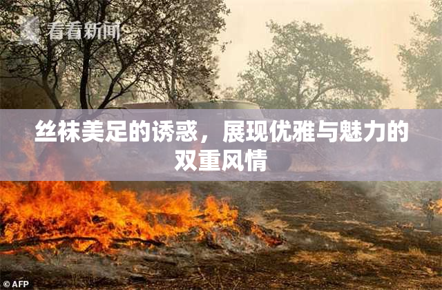 丝袜美足的诱惑，展现优雅与魅力的双重风情