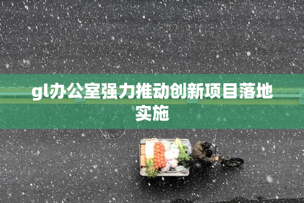 gl办公室强力推动创新项目落地实施