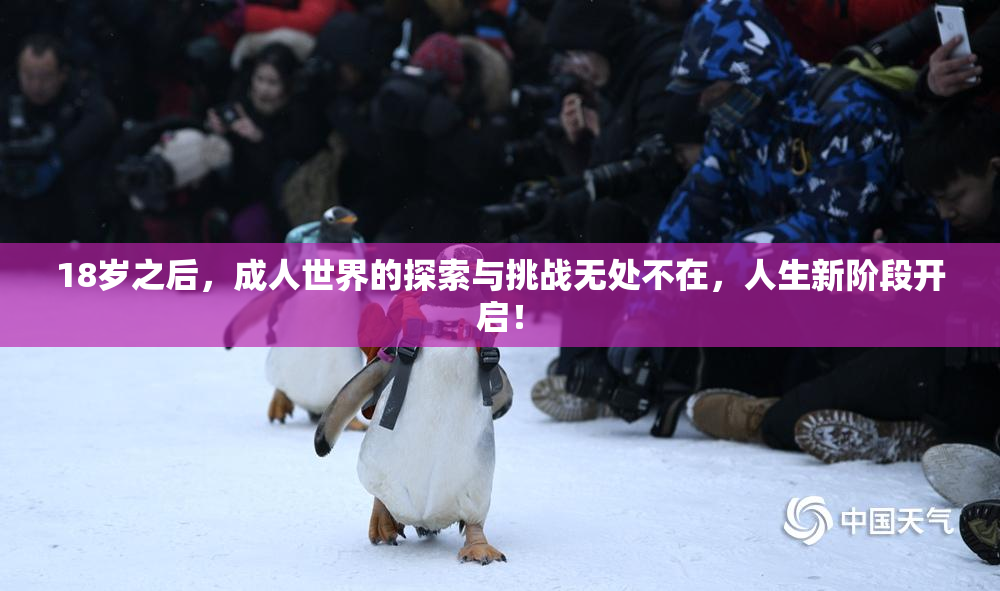 18岁之后，成人世界的探索与挑战无处不在，人生新阶段开启！