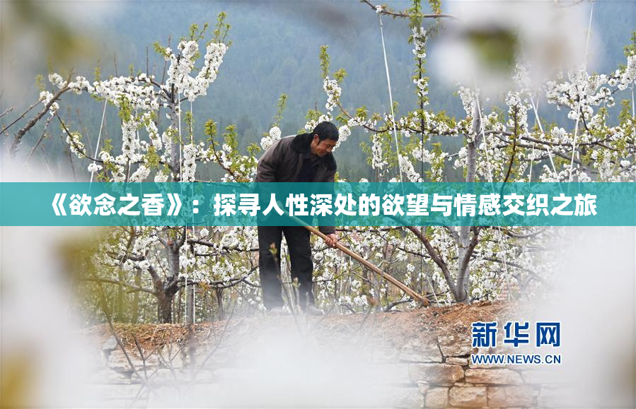 《欲念之香》：探寻人性深处的欲望与情感交织之旅