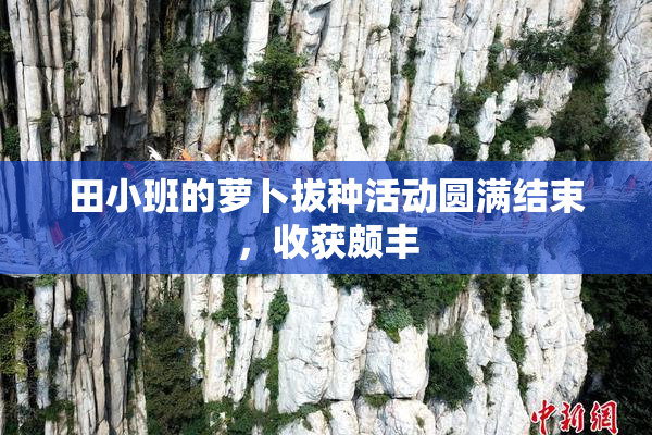 田小班的萝卜拔种活动圆满结束，收获颇丰