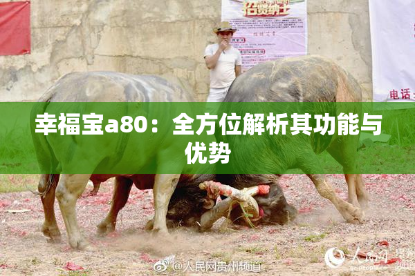 幸福宝a80：全方位解析其功能与优势