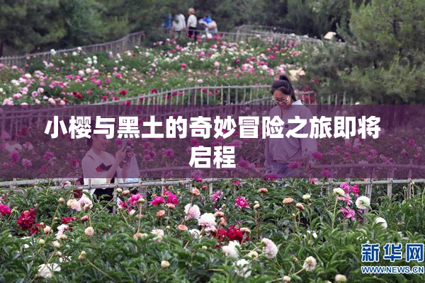 小樱与黑土的奇妙冒险之旅即将启程