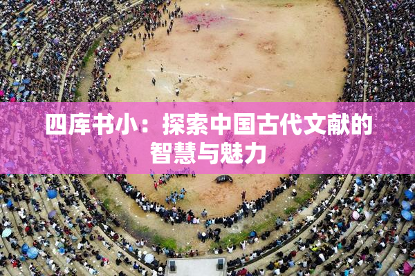 四库书小：探索中国古代文献的智慧与魅力