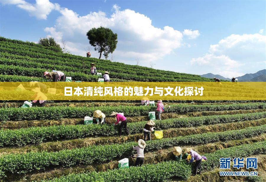 日本清纯风格的魅力与文化探讨