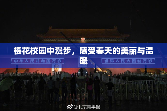 樱花校园中漫步，感受春天的美丽与温暖