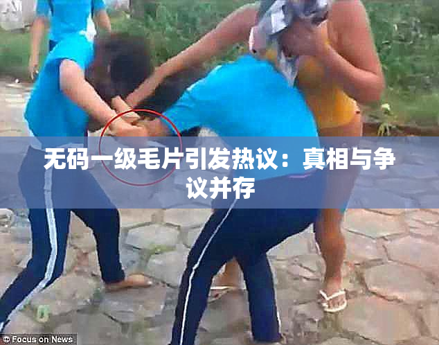 无码一级毛片引发热议：真相与争议并存