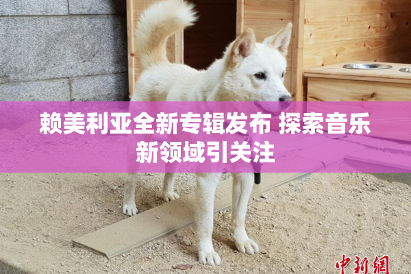 赖美利亚全新专辑发布 探索音乐新领域引关注