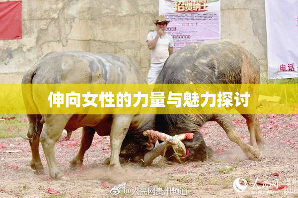 伸向女性的力量与魅力探讨