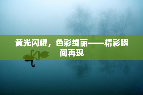 黄光闪耀，色彩绚丽——精彩瞬间再现