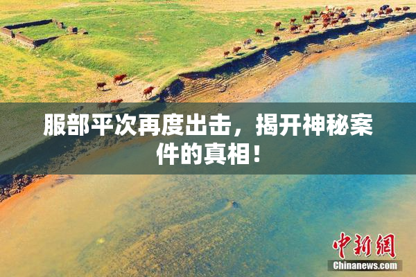 服部平次再度出击，揭开神秘案件的真相！