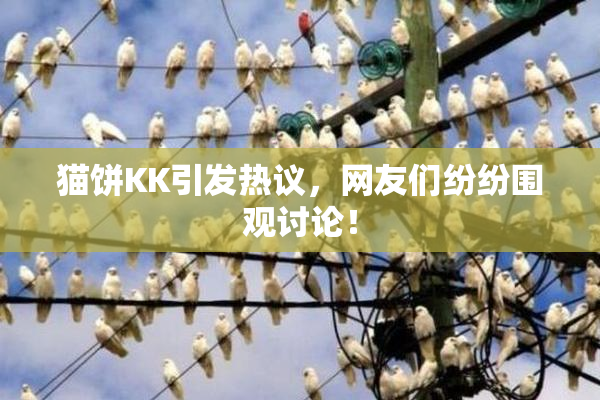 猫饼KK引发热议，网友们纷纷围观讨论！