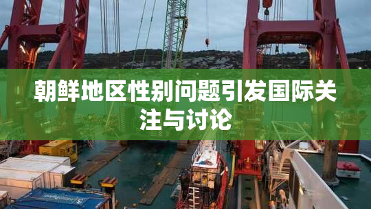 朝鲜地区性别问题引发国际关注与讨论